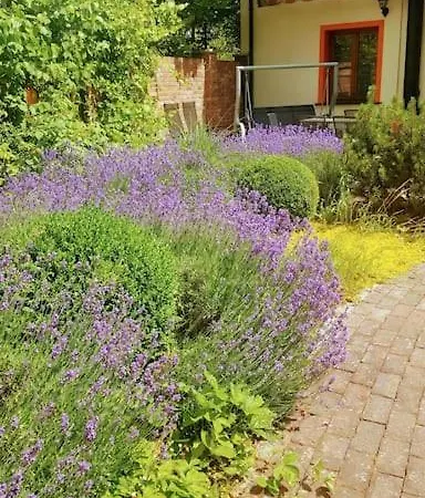 Constantia By Grape Vila Vratislav