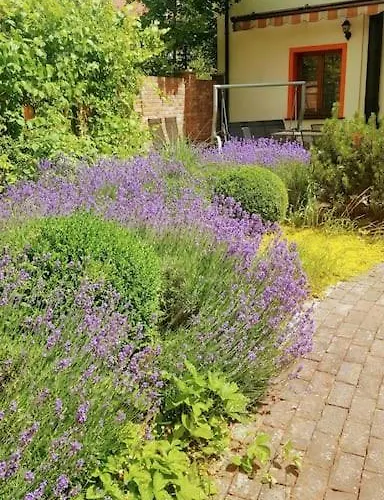 Constantia By Grape Вилла Вроцлав